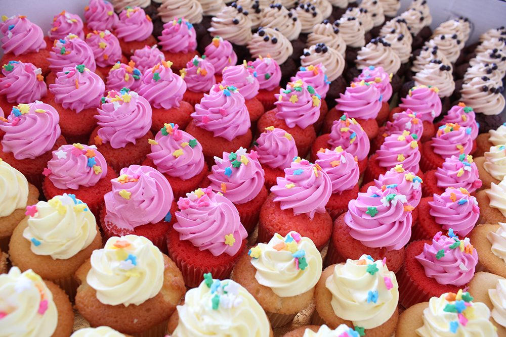 January Special: $5 off your mini cupcake order (24 ct)